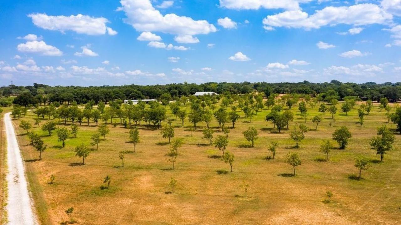 Pecan Farm Haus Fredericksburg Zewnętrze zdjęcie